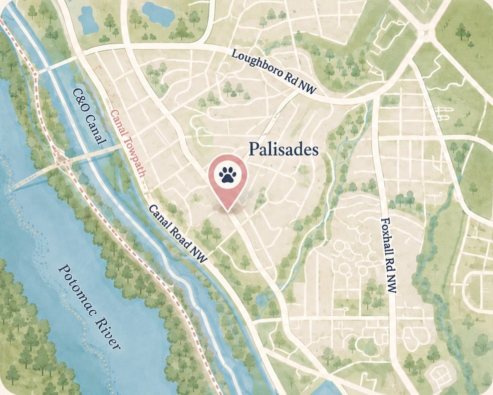 Illustrated map of The Palisades neighborhood in Washington DC, showing the Potomac River, C&O Canal, Canal Road NW, Loughboro Rd NW, Foxhall Rd NW, with Palisades Dog House location pinned